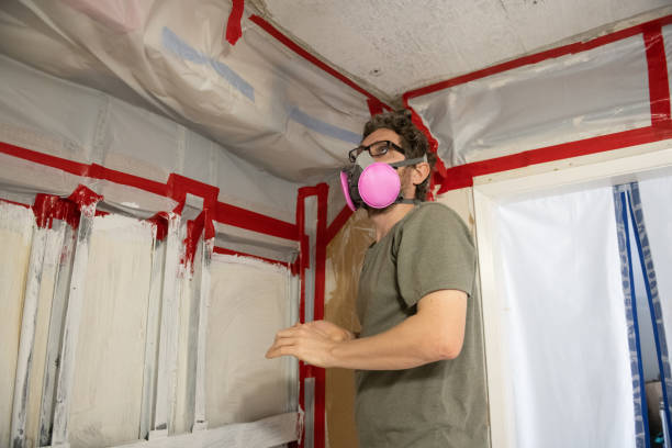 Burlington, WI Mold Inspection, Removal & Remediation Company