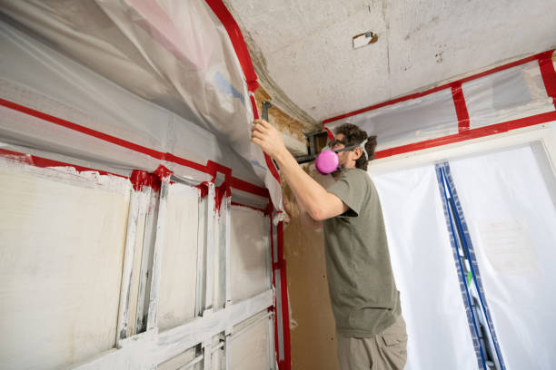 Best Attic Mold Removal  in Burlington, WI